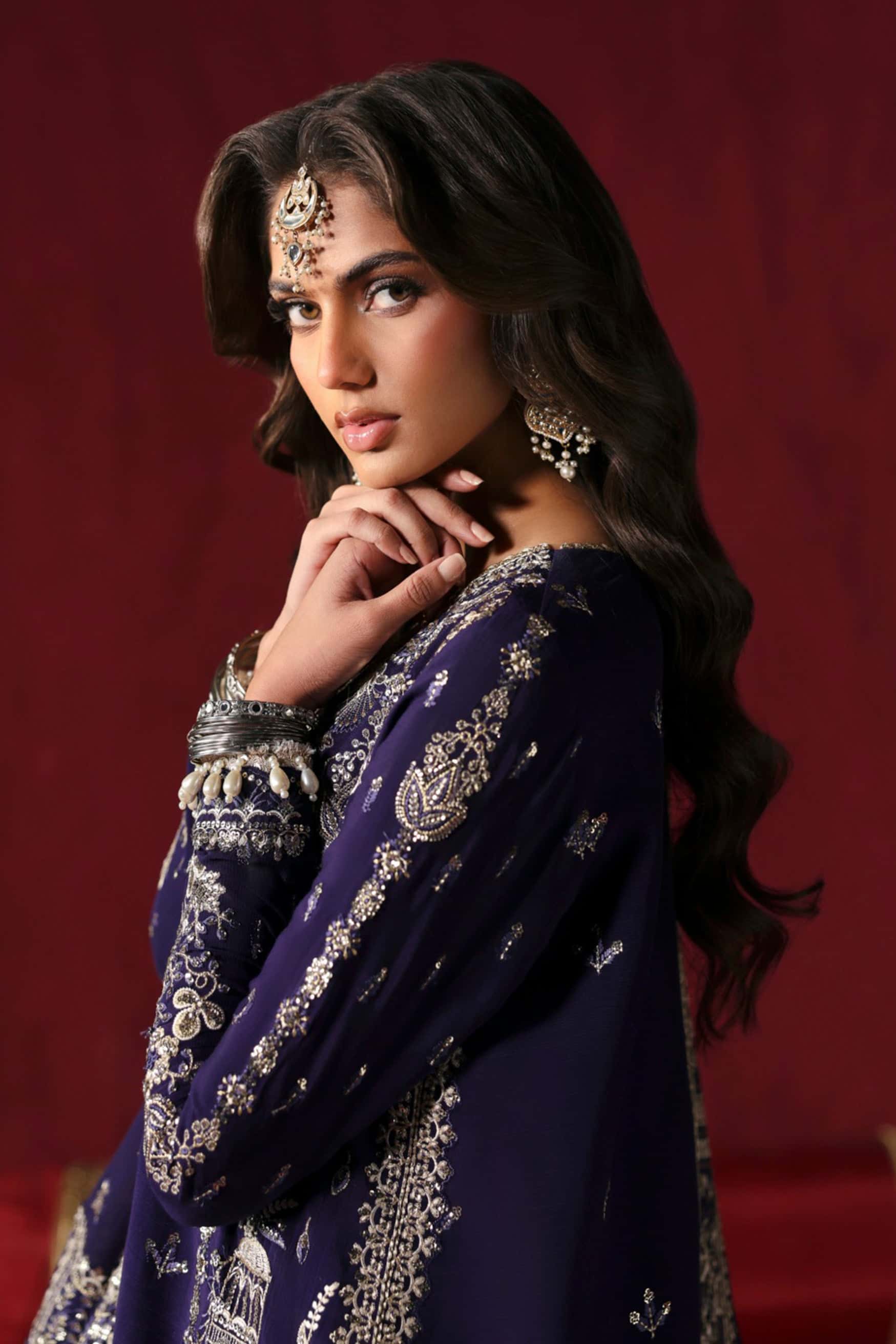 chiffon embroidered dress