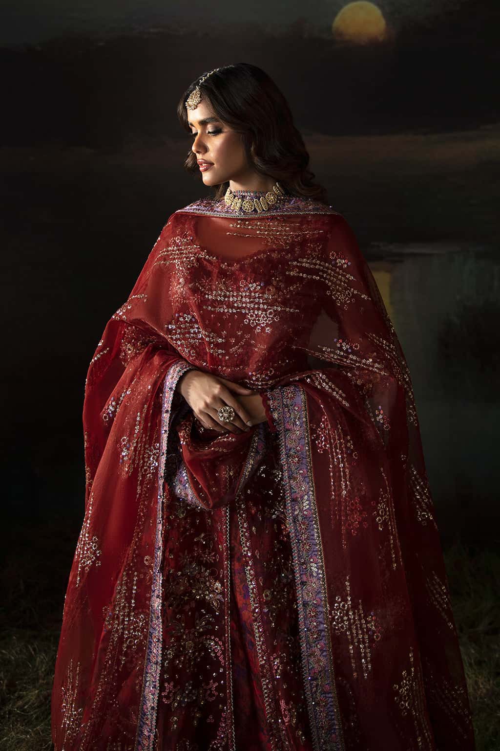 Pakistani fancy dress