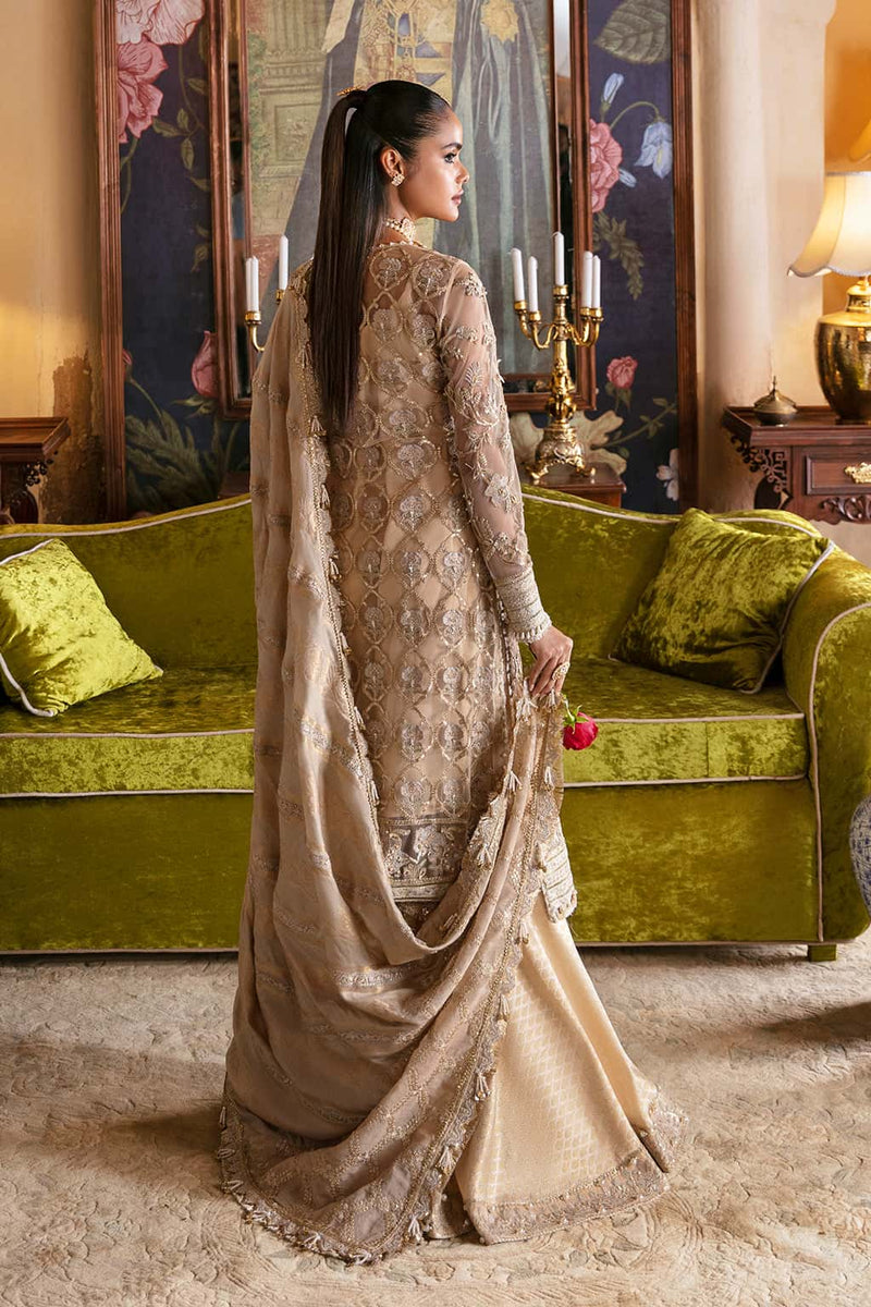 embroidered chiffon dress