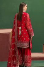 Pakistani dress ladies