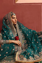 Pakistani chiffon embroidered suits