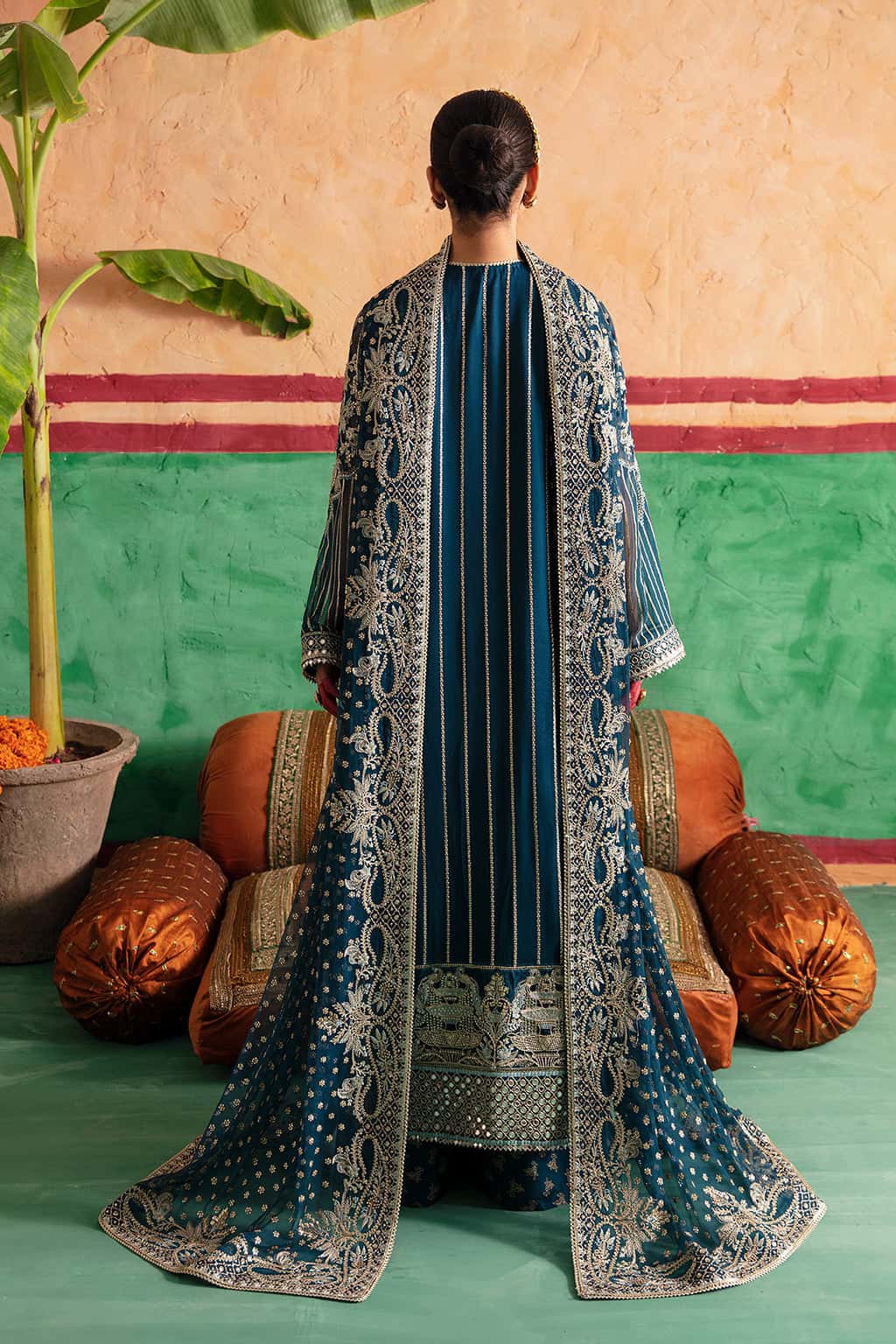chiffon pakistani clothes