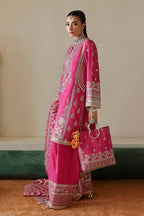 Pakistani fancy dress