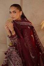 Pakistan lady dress