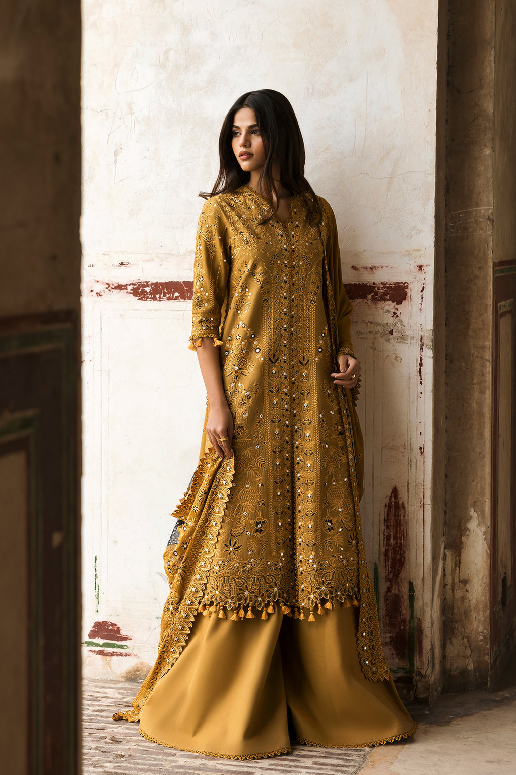 pakistan lawn