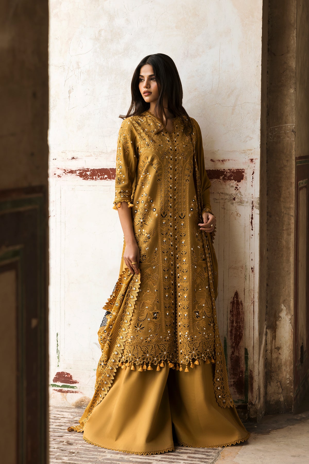 pakistan lawn