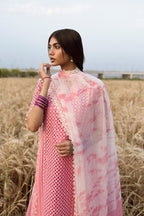 luxury lawn 2025