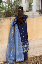 organza dupatta 